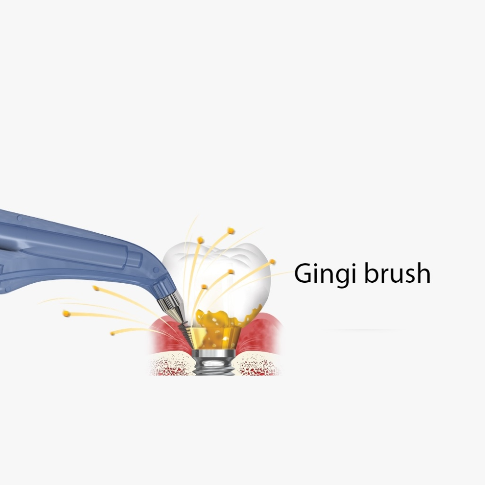 Gingi brush